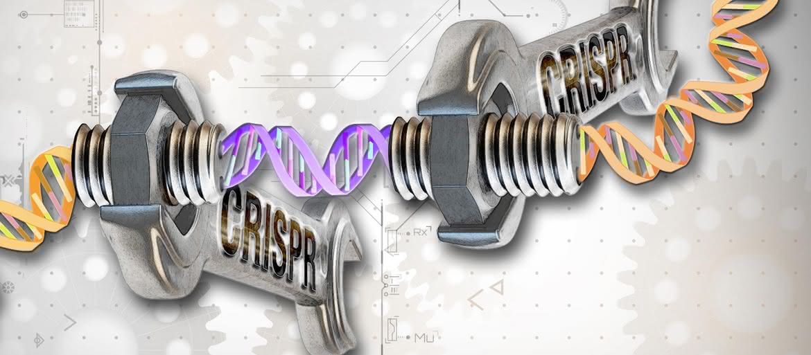 Genesis artificialis - tworzymy DNA, którego natura nie zna