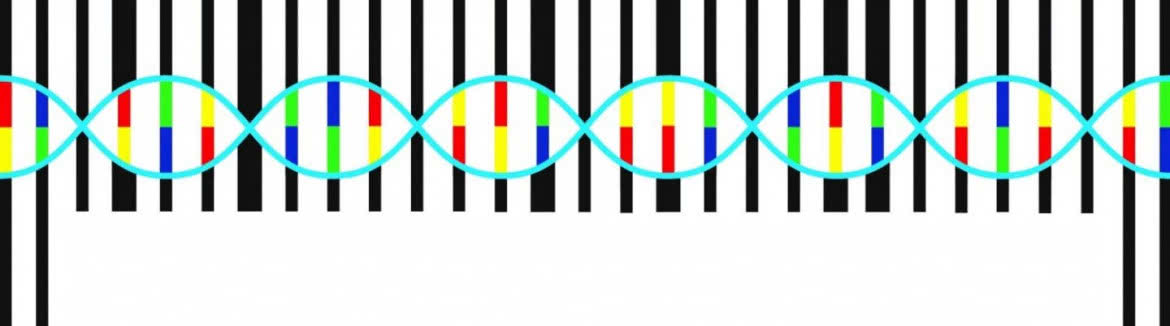 Kod genetyczny do znakowania towarów i przestępców
