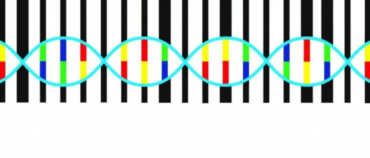 Kod genetyczny do znakowania towarów i przestępców