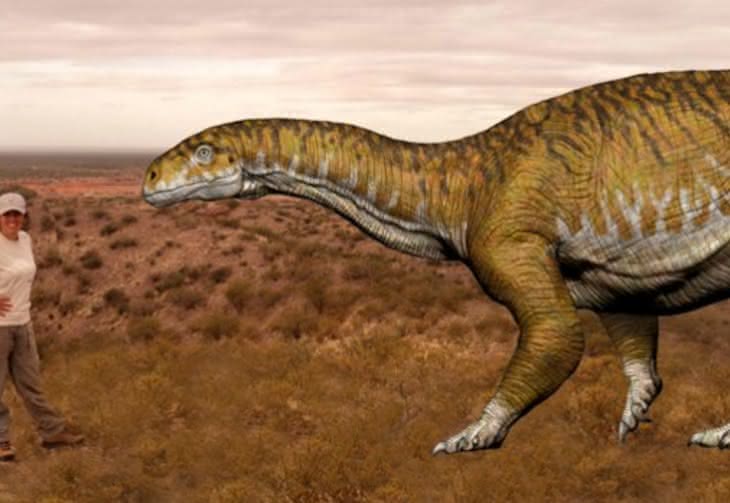 Nowy gatunek dinozaura odkryty w Argentynie