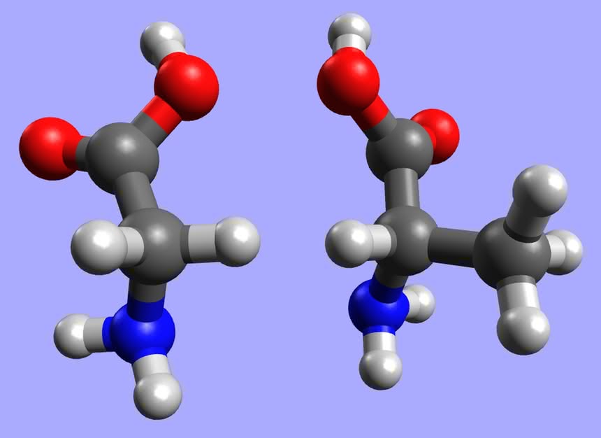 Dwa najprostsze aminokwasy białkowe - glicyna z lewej i alanina z prawej.